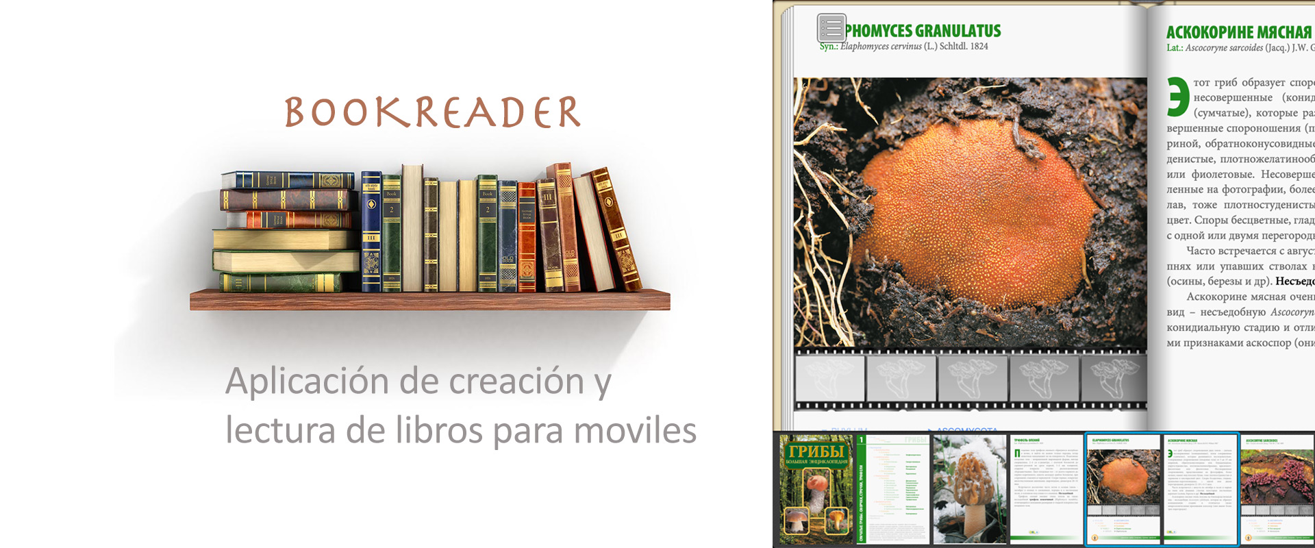 slide_app_bookreader_es